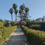 Salvo